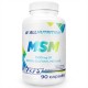 PROGRESS LABS MSM 1000g - 2000 Servings