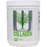 Exp 30/09/2024 Universal Nutrition Collagen , 60 Servings Unflavored