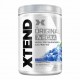 Scivation Xtend 30 servings