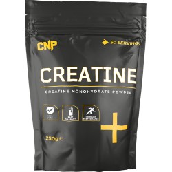 Optimum Nutrition Micronised Creatine Powder 317g