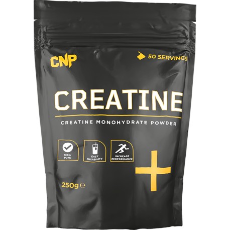 Optimum Nutrition Micronised Creatine Powder 317g