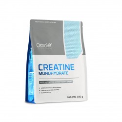 Optimum Nutrition Micronised Creatine Powder 317g