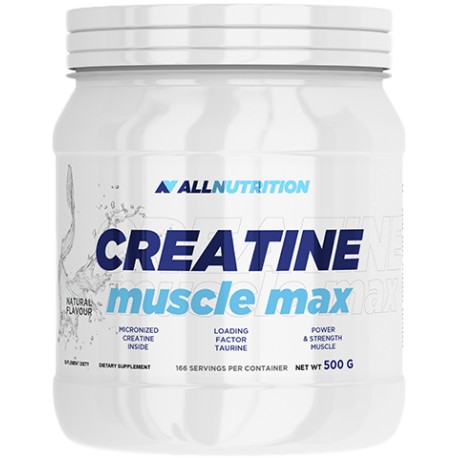 Yava Labs Creatine Powder 300 g - 60 Servings