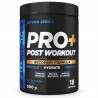 Exp 31/05/2025 ALL Nutrition PRO+ POST WORKOUT PRO SERIES 900 g